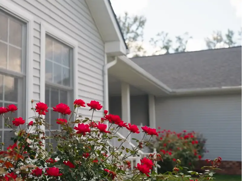 Cottage front porch landscaped with red roses in bloom